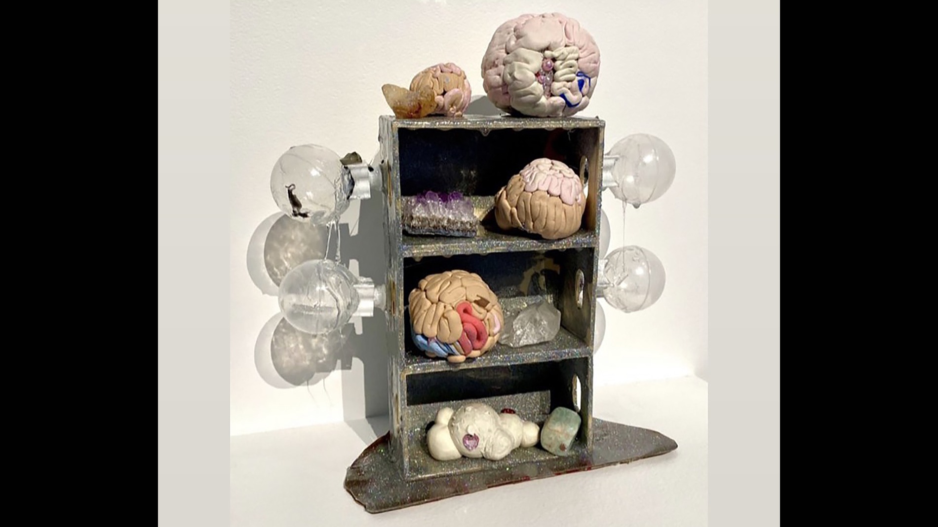 Brain Shelf, Naomi Chambers