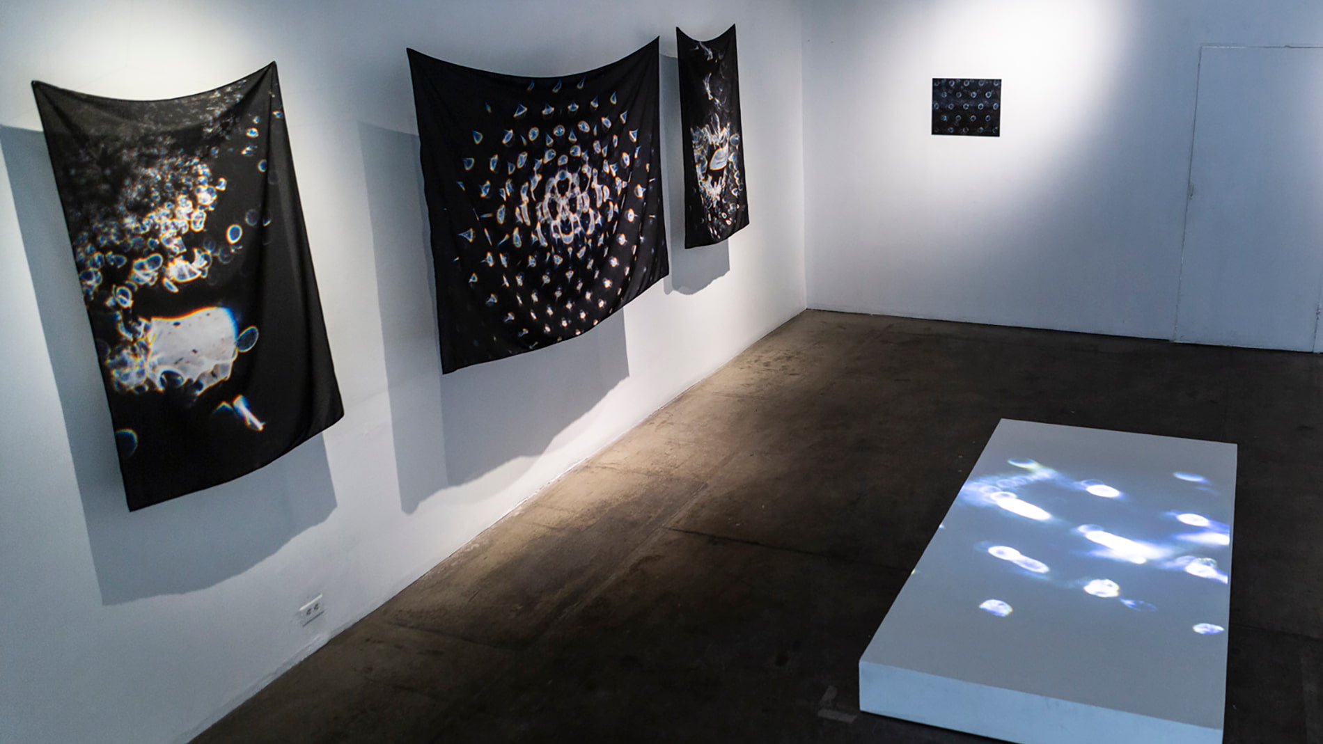 Centa Schumacher, Voids