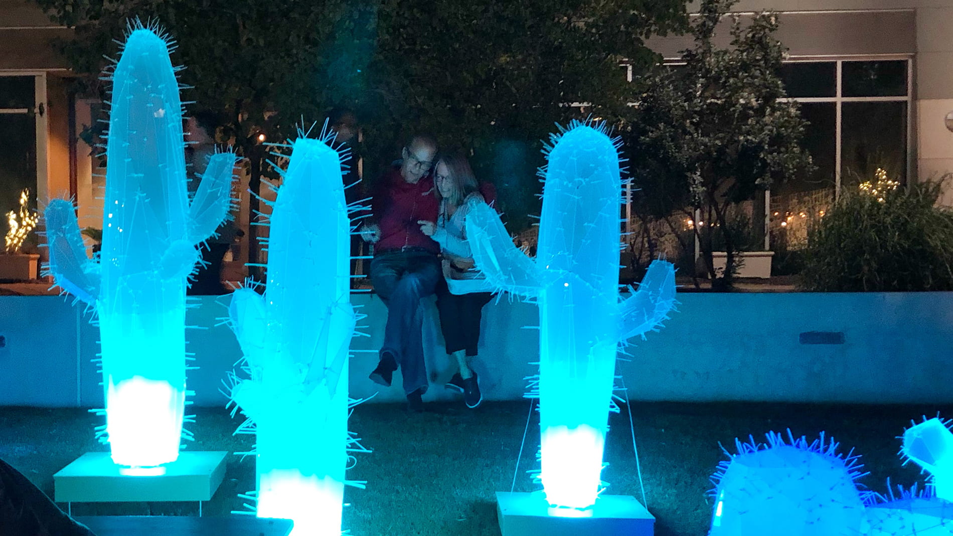 Toby Fraley, Luminous Cactus