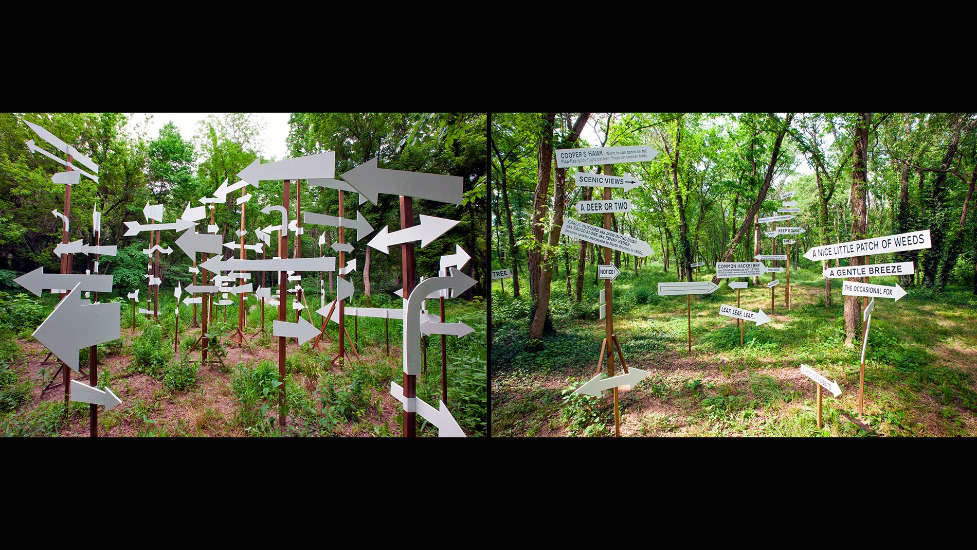 Kim Beck, Flock of Signs