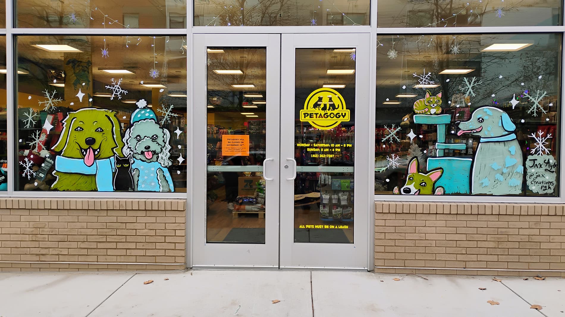 Jax Ayase, Petology window