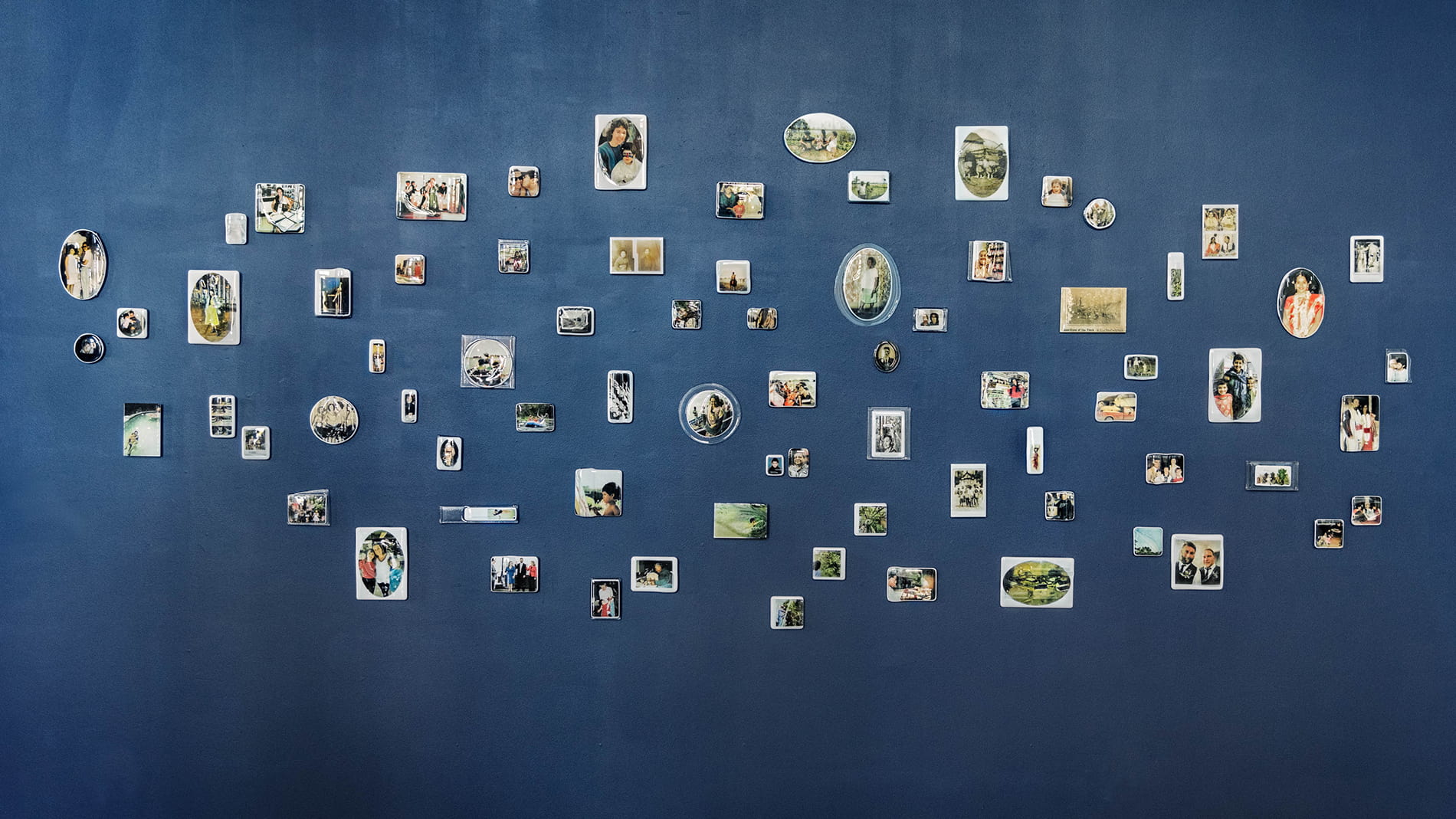 Sandra Bacchi, The House We Live In