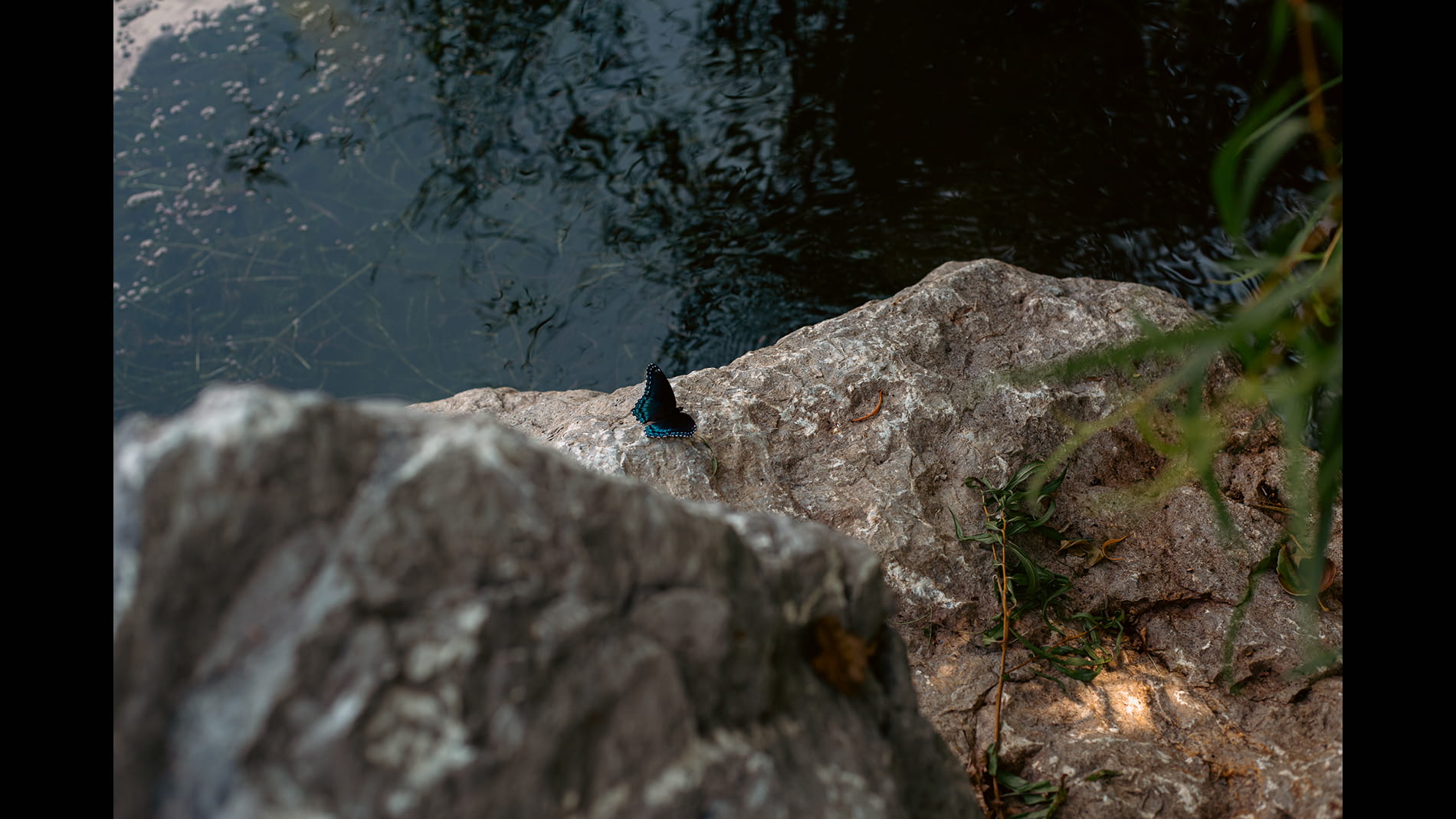 Vania Evangelique, Untitled (Moraine State Park)