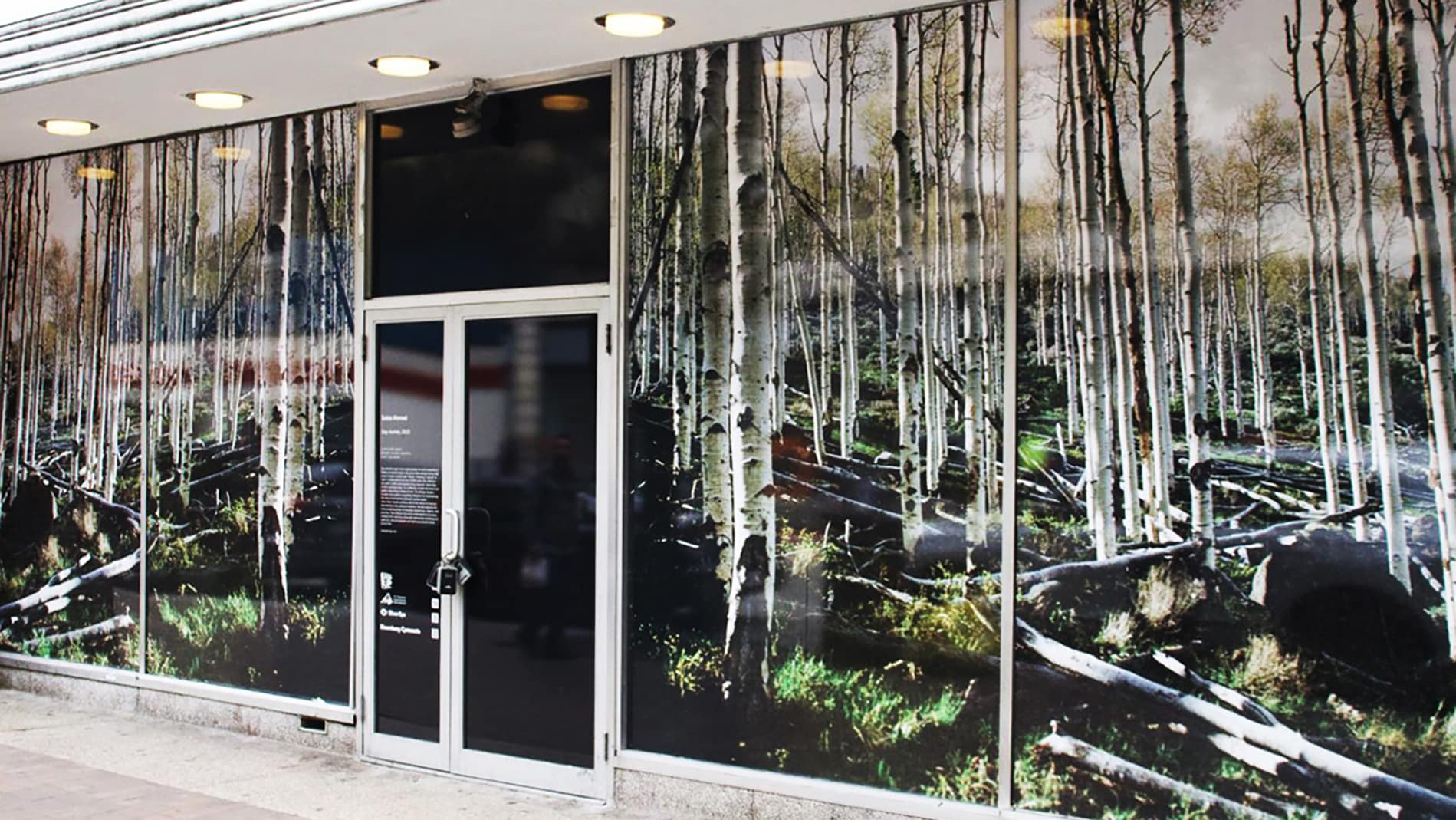 Sobia Ahmad, Stay Awhile