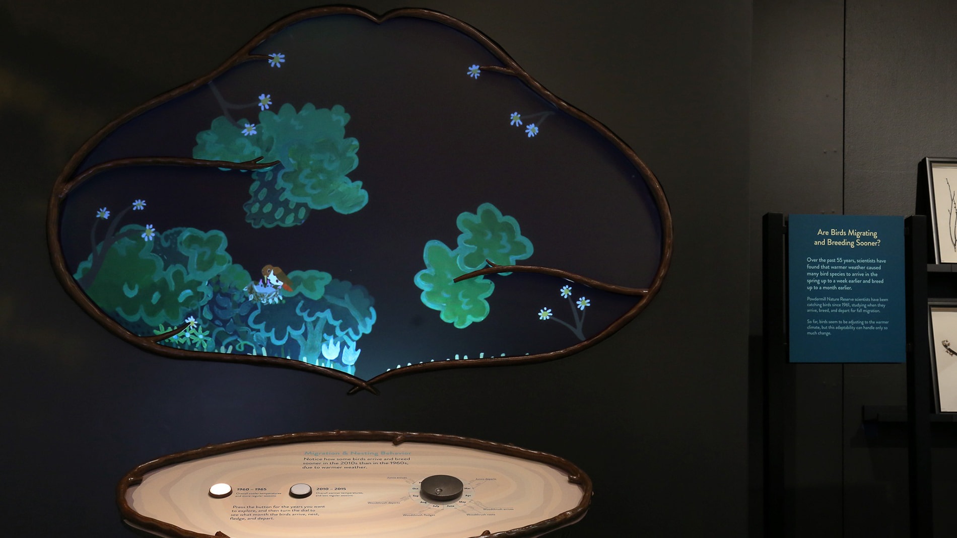 Sam Ticknor, Innovation Studio