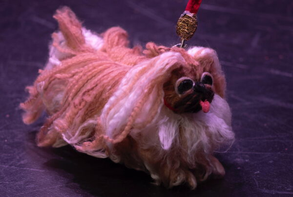 Lillie Tuck, The Adventures of Pussy Jones