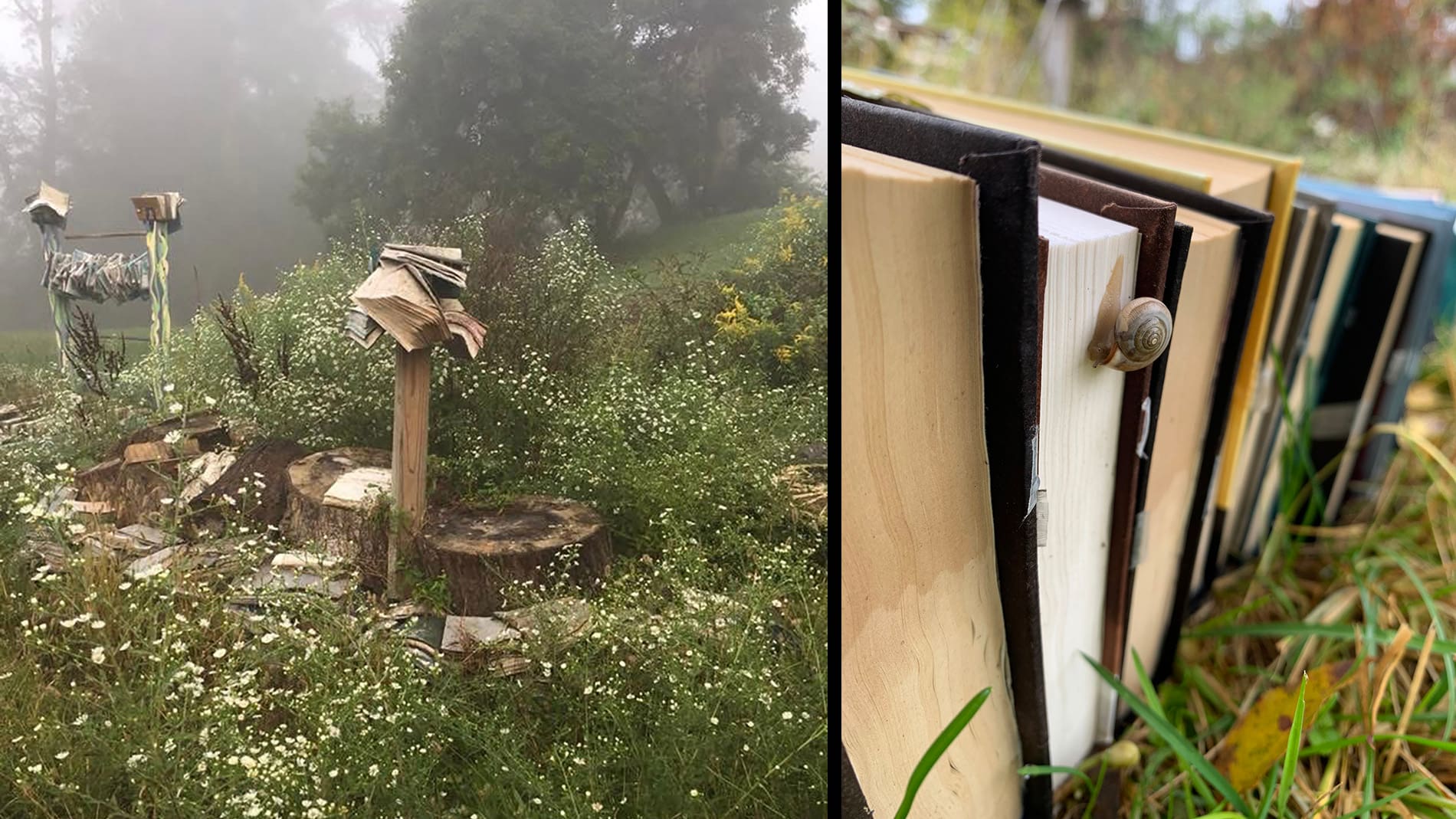 Sarah Simmons, Bookgarden