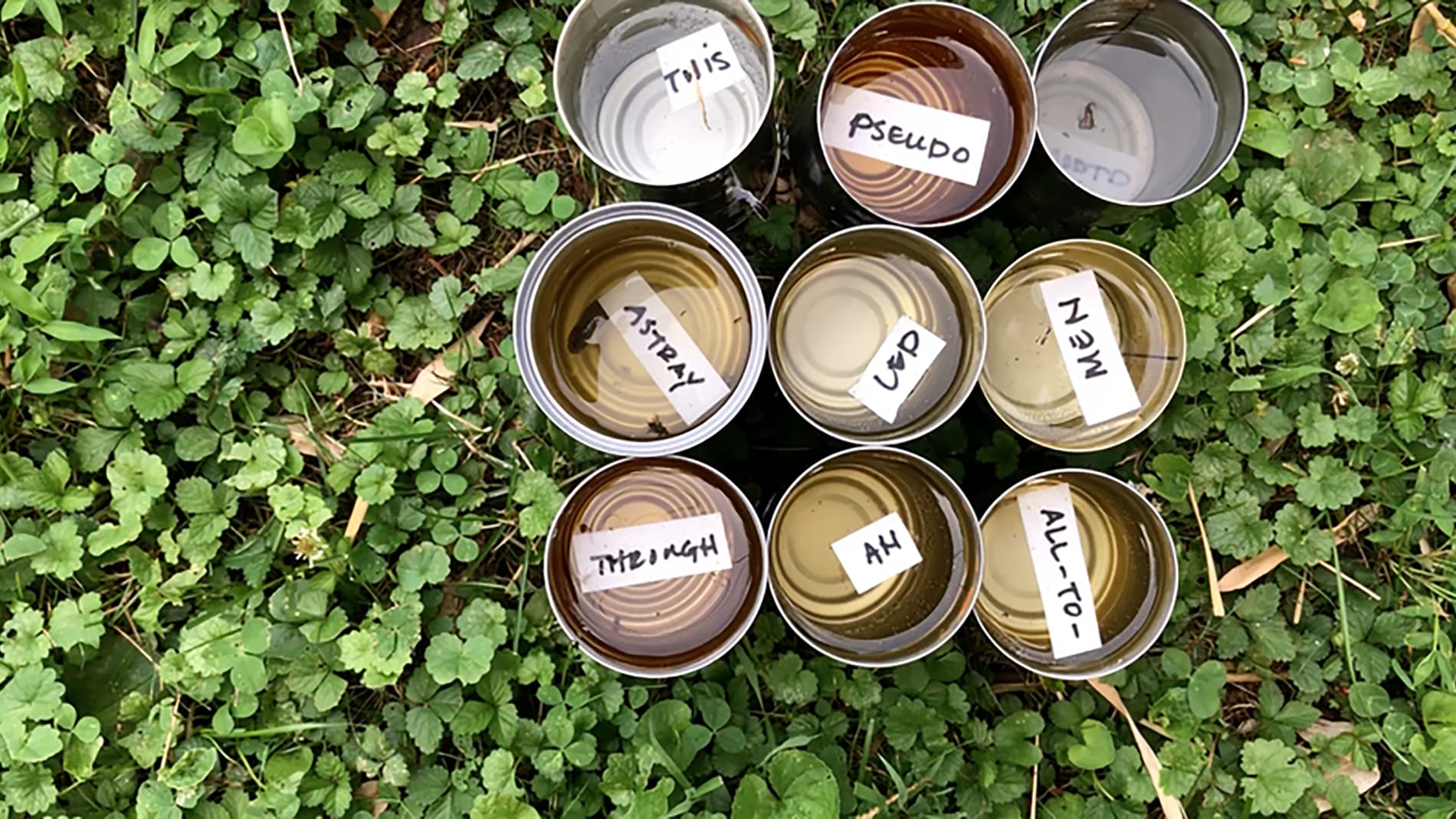 Mary Olin Geiger, Biosphere 3