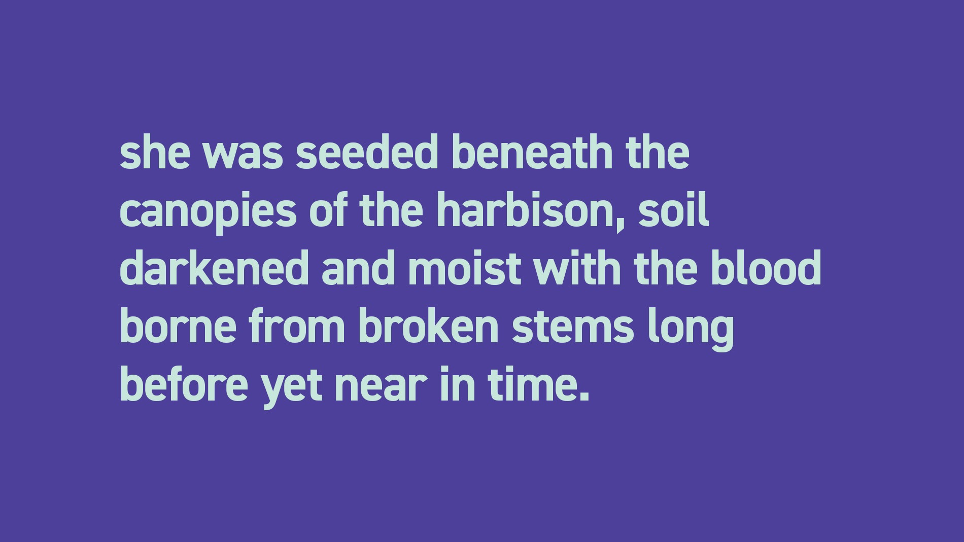 Najya Williams, sunflower in the woods excerpt