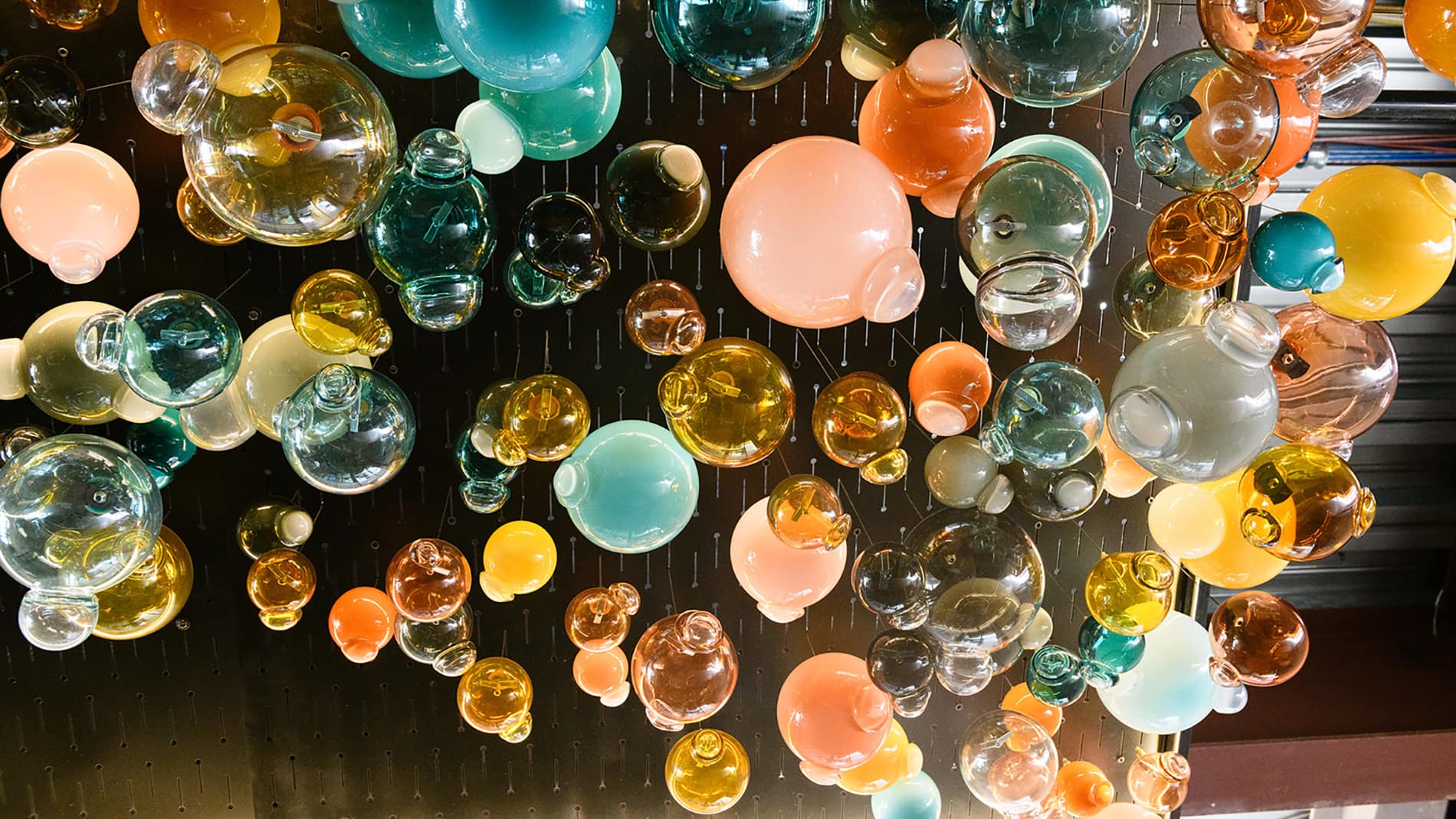 Jason Forck, Flourish