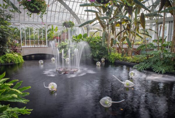 Jason Forck, Lantern