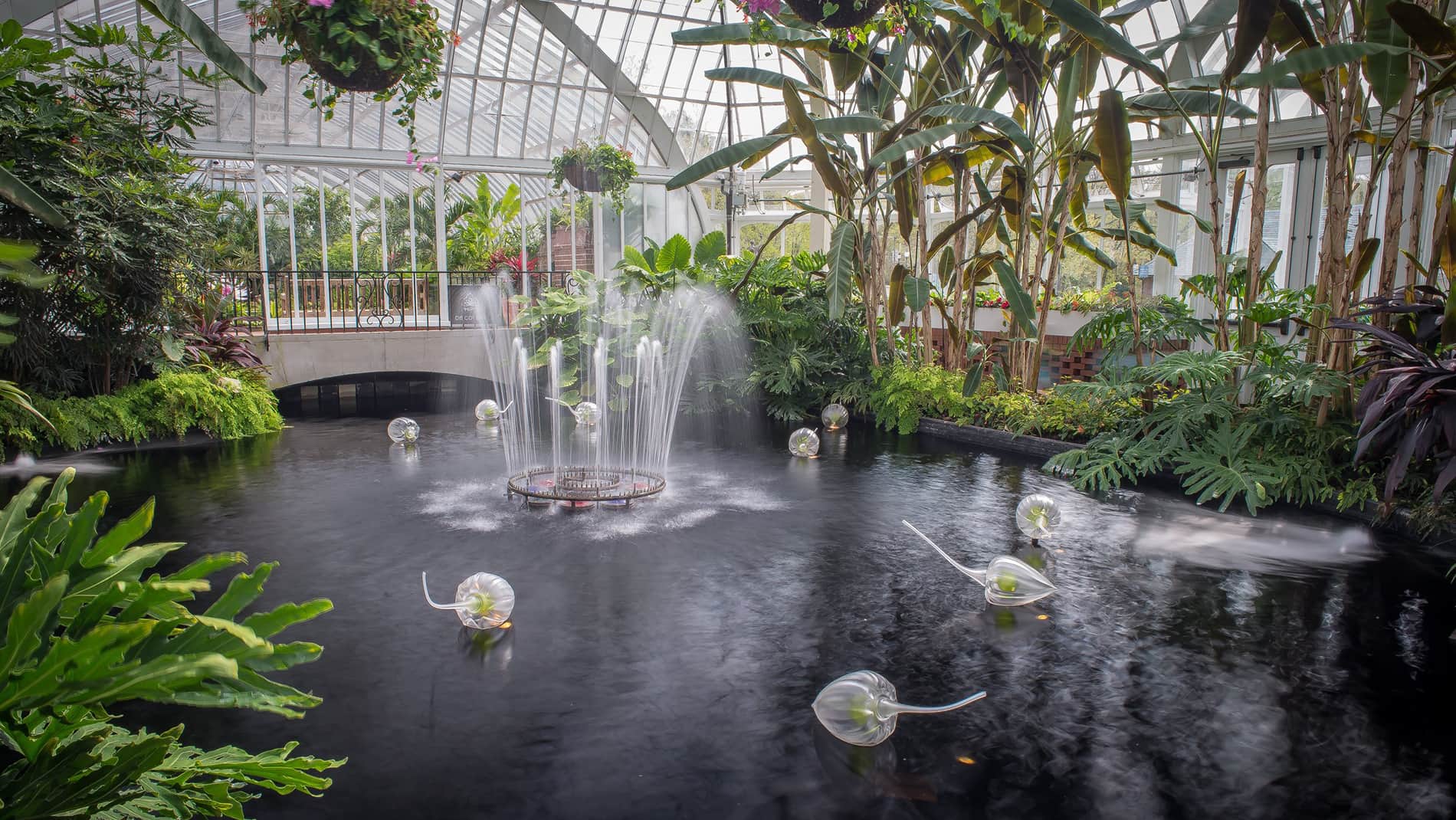 Jason Forck, Lantern