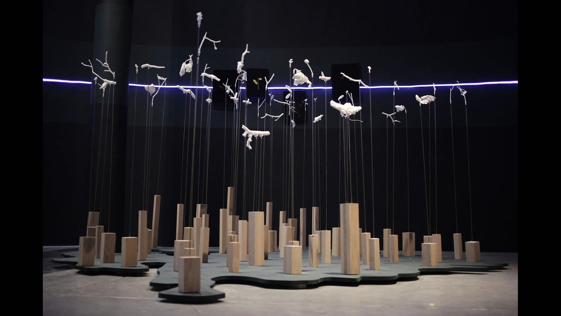 Britt Ransom, Suspended