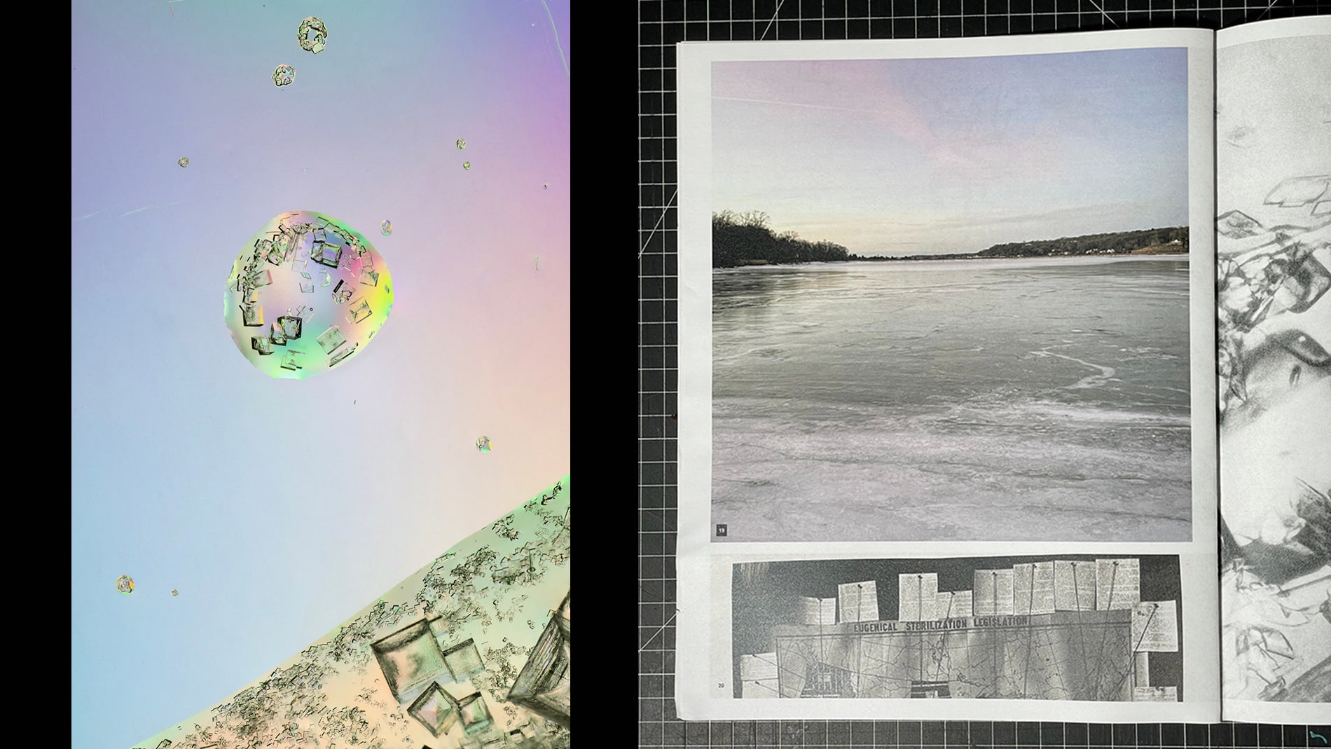 Christine Lorenz, Cold Spring Harbor Laboratory Residency Work