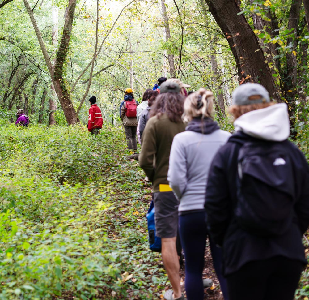 People walking through the woods